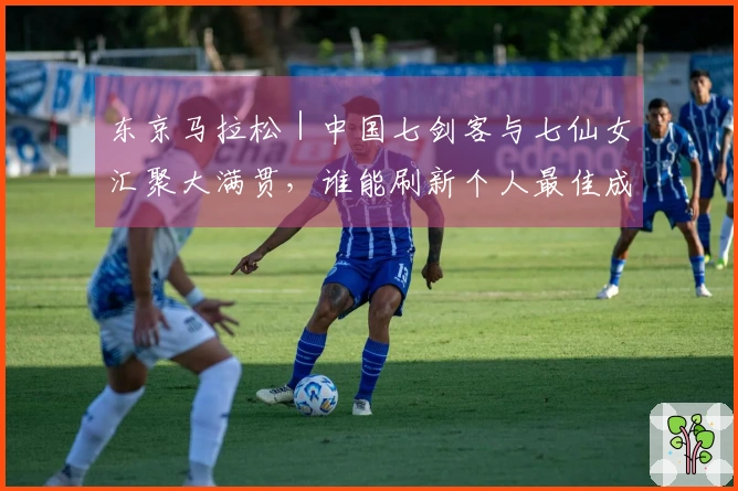 东京马拉松｜中国七剑客与七仙女汇聚大满贯，谁能刷新个人最佳成为焦点