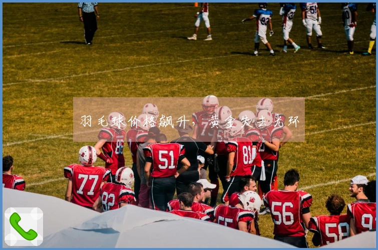 羽毛球价格飙升，黄金失去光环