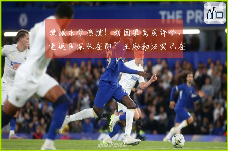 樊振东登热搜！刘国梁高度评价，重返国家队在即？王励勤证实已在联络